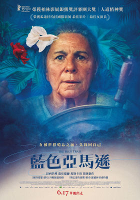 藍色亞馬遜